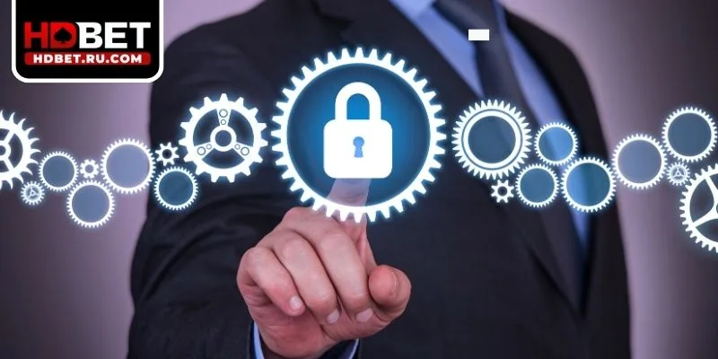 Các kênh chính trong việc thu thập dữ liệu tại HDBET